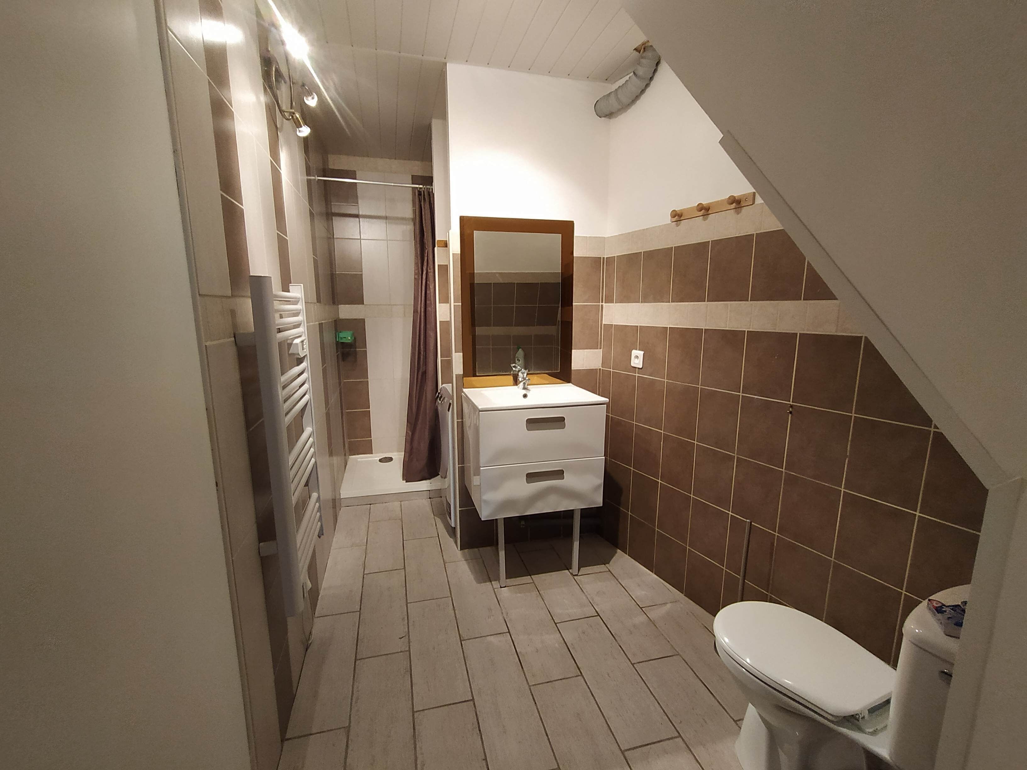 Ein schmales Badezimmer mit Dusche, Waschbecken und Toilette.