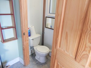 Ein kleines Badezimmer mit Toilette, einem Regal mit Reinigungsmitteln und einer Holztür.