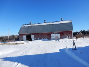 Eksteriør