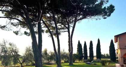 Tuscan Villa 5mins From Beach, Sleeps 8, ev Point