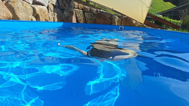 A swimming pool with clear blue water and a swimmer. - Ferienwohnung Bohnert - Arias (Bad Peterstal-Griesbach)