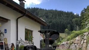 A black dog standing on a grassy lawn in front of a house with a barbecue grill. - Ferienwohnung Bohnert - Arias (Bad Peterstal-Griesbach)