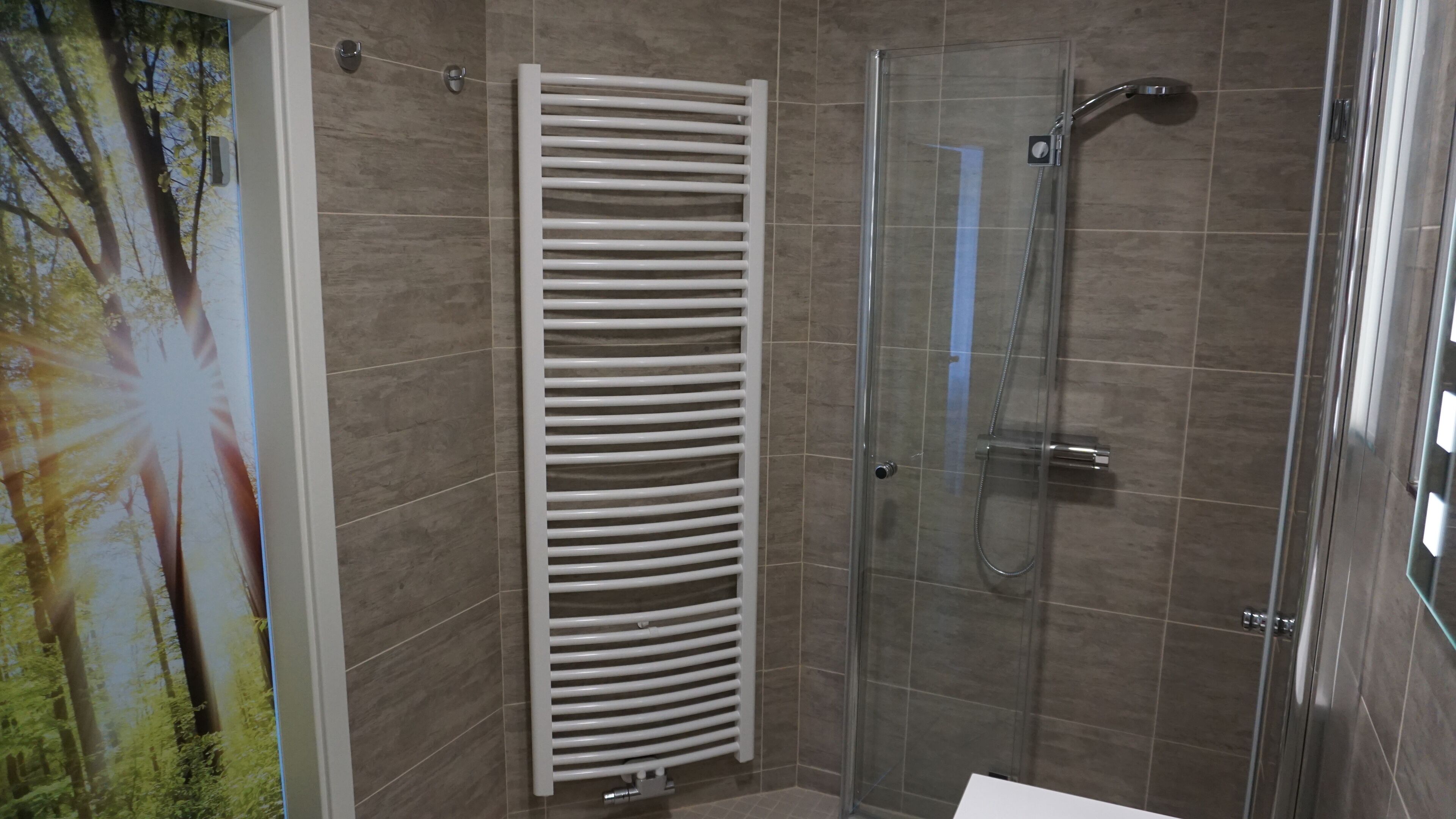 Ducha con puerta de cristal, toallero blanco y pared con azulejos.