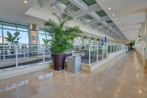 A spacious indoor area with a high ceiling, large windows, and a central potted plant.
