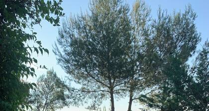 Villa en bordure de colline*piscine*clim*netflix