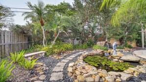 A garden with a stone pathway, a pond with lily pads, and a wooden fence.