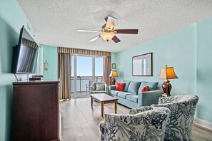 電視、DVD 播放機