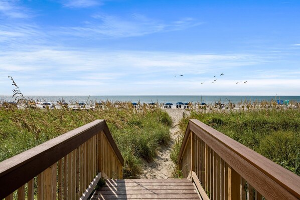 On the beach - Bay Watch Condo with floor to ceiling windows | Bay Watch Resort - 1119 (North Myrtle Beach)