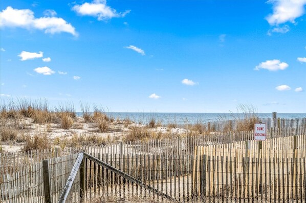 Property grounds - Diamond Beach 108 - oceanfront 1 bedroom, close to Convention Ctr (Ocean City)