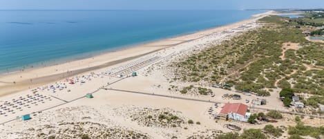 An aerial view of a beach with rows of umbrellas and beach chairs, a sandy shore, and sparse vegetation.