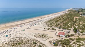 An aerial view of a beach with rows of umbrellas and beach chairs, a sandy shore, and sparse vegetation.