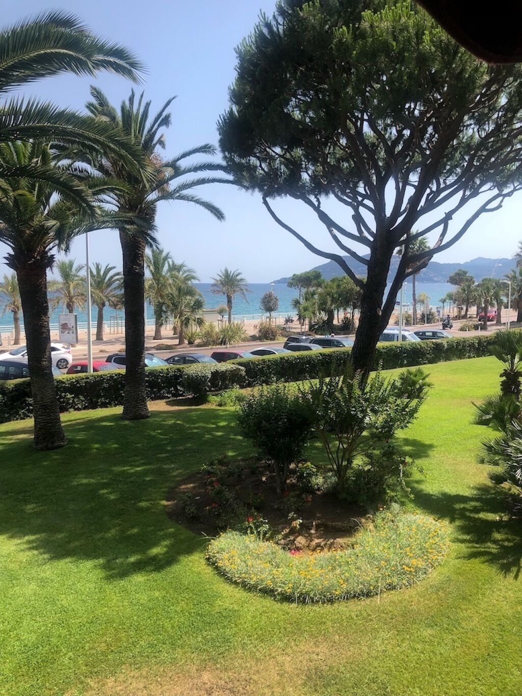 A parking area with cars, palm trees, and a view of the sea.