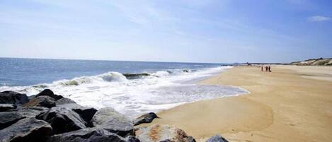 Playa en los alrededores