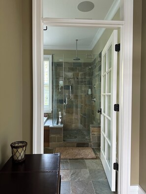 Shower, jetted tub, hair dryer, towels