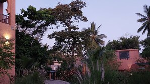 A paved pathway leading through a garden with various plants and a palm tree. - Al Mahali Villas (Diani Beach)