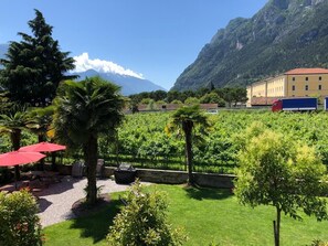 Vistas desde el alojamiento