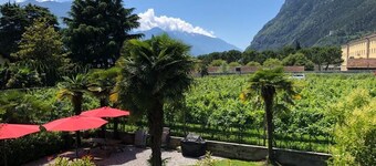 ALBOLA SUITE Holiday Apartments