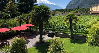 ALBOLA SUITE Holiday Apartments