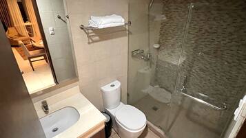 Shower, hair dryer, bidet, towels