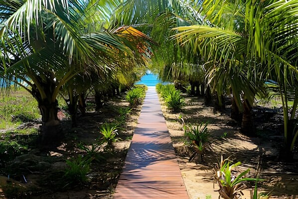 Áreas de la propiedad