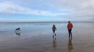 Beach nearby, sun loungers, beach towels