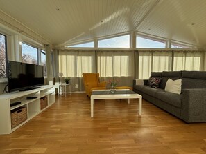 Smart-TV, Kamin