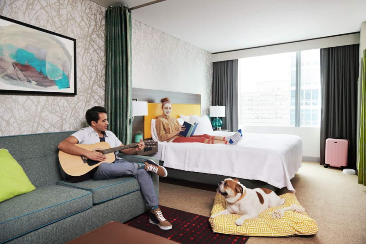 Ein Hotelzimmer mit Bett, Sofa, Hund auf einem Kissen und einer Person, die Gitarre spielt.