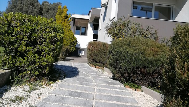 Un chemin mène à un bâtiment moderne doté d ’un toit plat et de grandes fenêtres.