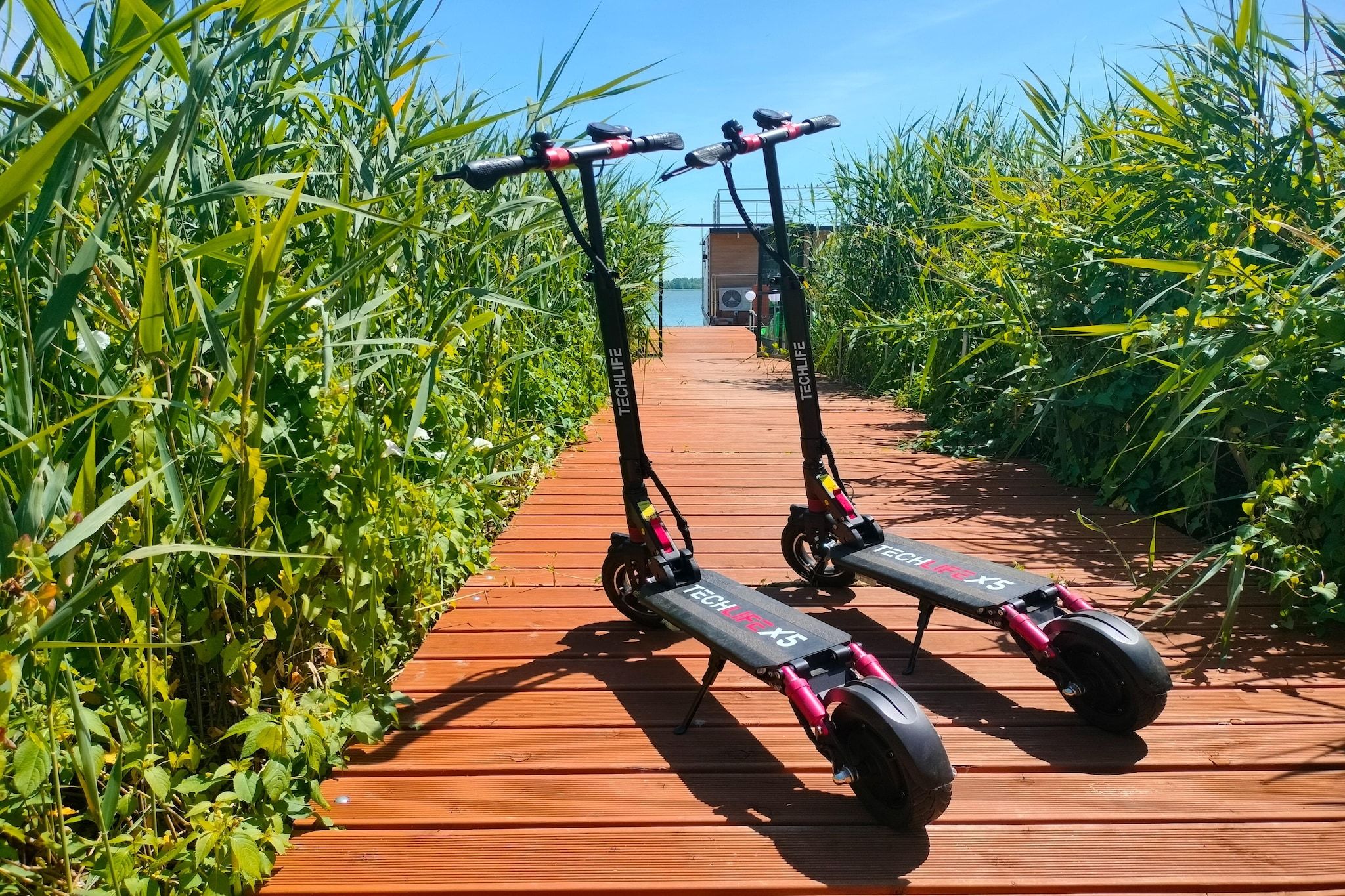 Närområdet [sommar] (< 1 km)