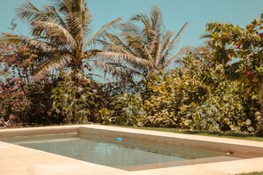 A swimming pool surrounded by lush greenery and palm trees.
