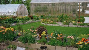 Un invernadero con techo de cristal, rodeado de diversas plantas en flor y un jardín bien cuidado.