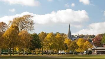 Ein Park mit Herbstbäumen, einem Kirchturm und einem Gebäude im Hintergrund.