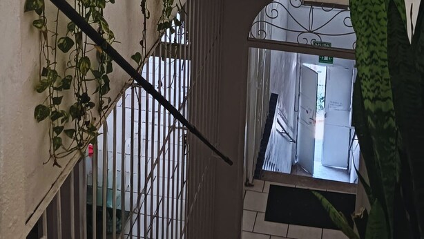 Un escalier avec une rampe en métal, des plantes en pot et un miroir accroché au mur.
