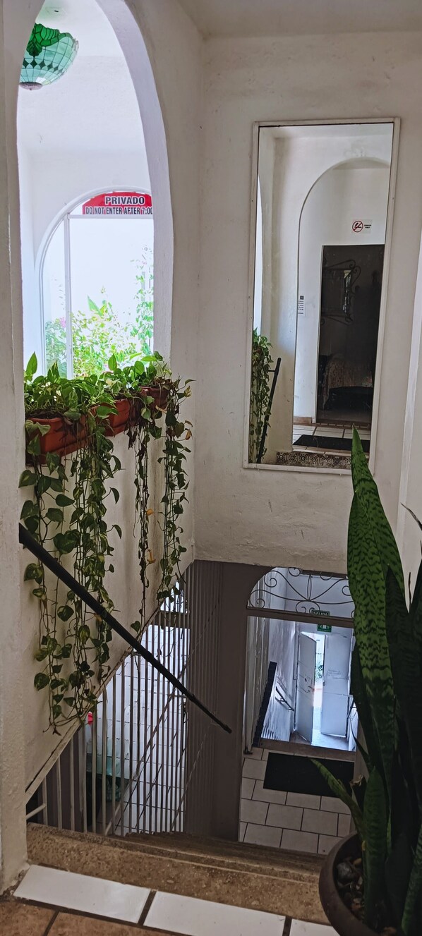 Interior - Alexandross Hostel BnB (Puerto Vallarta)