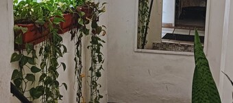 Alexandross Hostel BnB