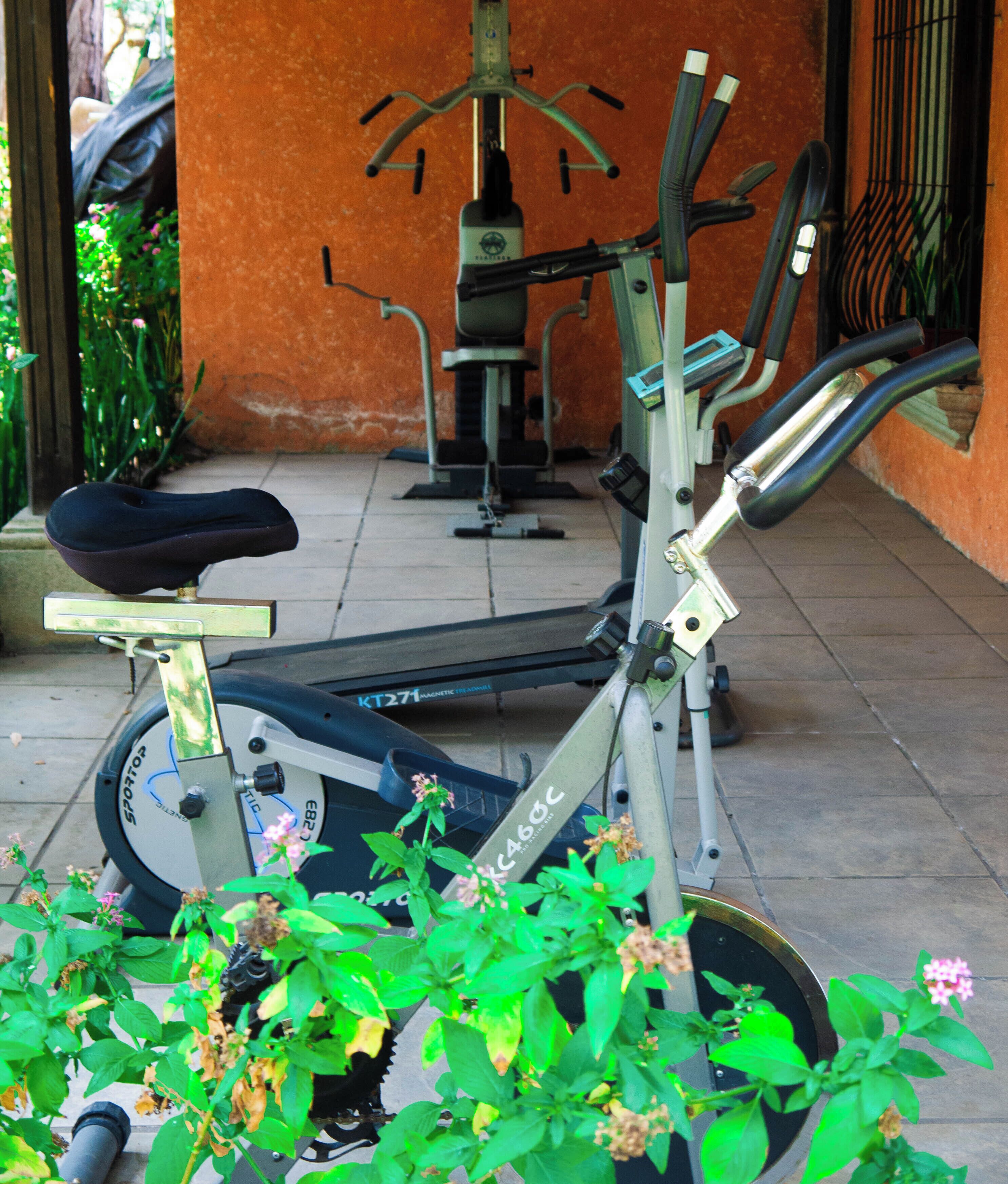 A stationary exercise bike with a seat and handlebars, positioned on a tiled floor with a potted plant in the foreground.