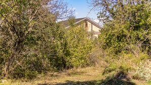 A house surrounded by dense vegetation. - RIFUGIO TAGLIACOZZO (Tagliacozzo)