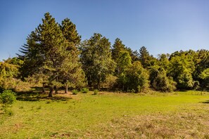 Exterior - RIFUGIO TAGLIACOZZO (Tagliacozzo)