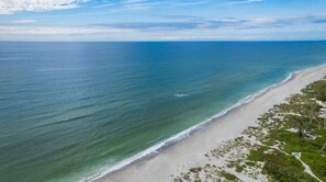 Camastros y toallas de playa