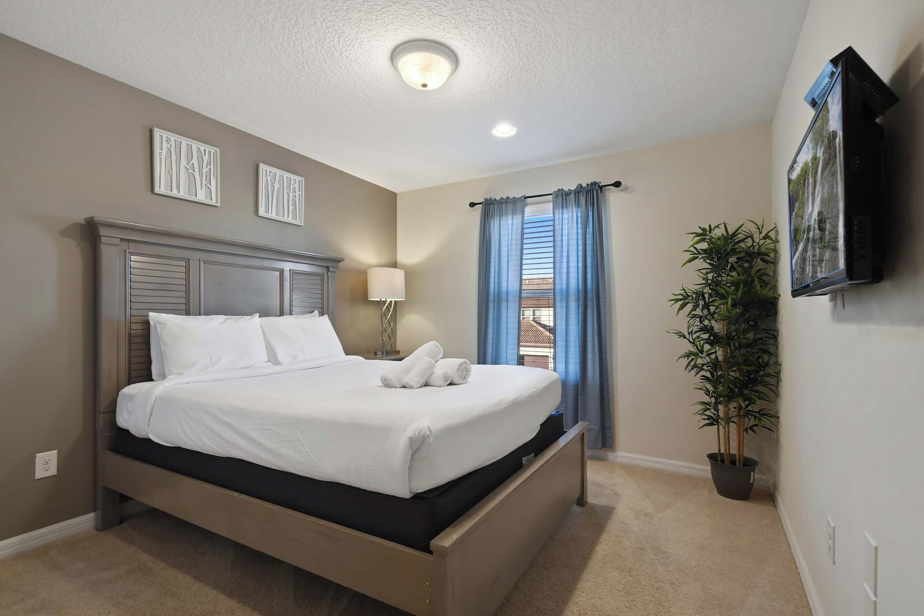 A hotel room with a bed, a flat-screen TV, a potted plant, and a window with curtains.