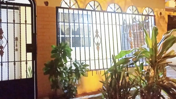 Une entrée fermée par un portail en métal et une fenêtre ornée de barreaux décoratifs. On aperçoit des plantes en pot au premier plan.