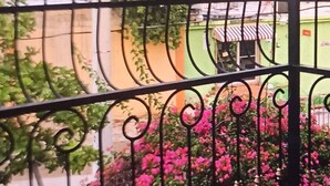 Un balcon orné de balustrades en fer forgé et de plantes à fleurs roses.