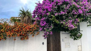 Um edifício branco com uma parede de concreto coberta por vibrantes flores de buganvilleira em tons de roxo e laranja.