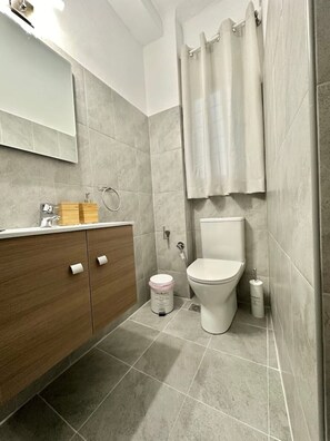 Hair dryer, towels, soap, toilet paper
