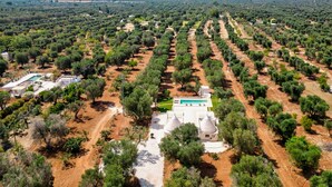 Vista aérea de una propiedad con filas de olivos, una piscina y un edificio blanco con techos cónicos.
