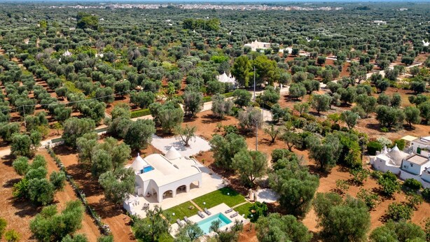 Vista aérea de una zona residencial con olivares, una villa blanca con piscina y un paisaje urbano distante.
