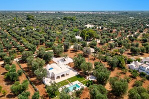 Vue aérienne d’un quartier résidentiel avec des oliveraies, une villa blanche dotée d’une piscine et, au loin, le paysage urbain.