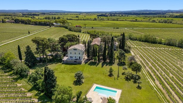 Un vaste domaine doté d’une piscine, entouré de vignes et d’arbres majestueux.