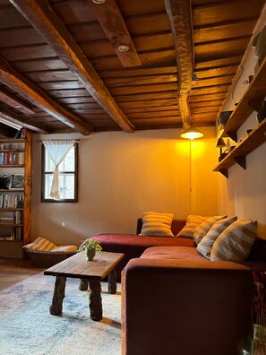 TV, books, music library, stereo