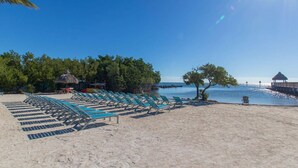 On the beach, sun-loungers, beach towels - Relax in your one bedroom Oceanfront Suite in Tavernier FL. Florida Keys. (Tavernier)